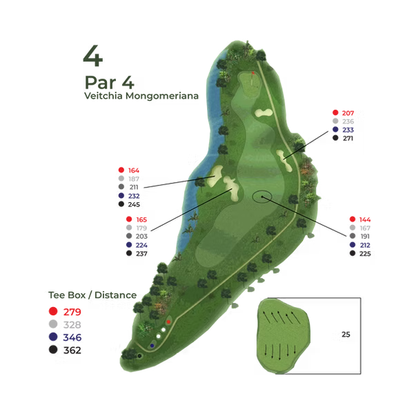 Peta Hole 4