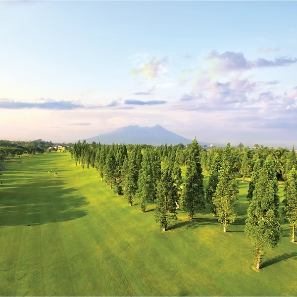 Hole 1 - Phoenix Dactilyfera