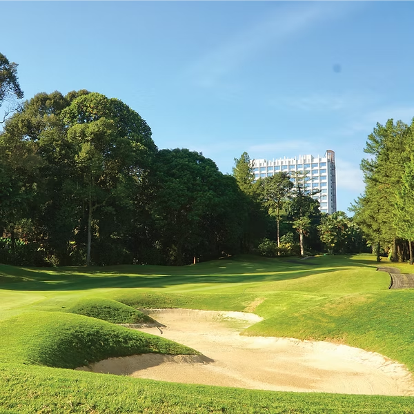 Hole 3 - Pinus Merkusii